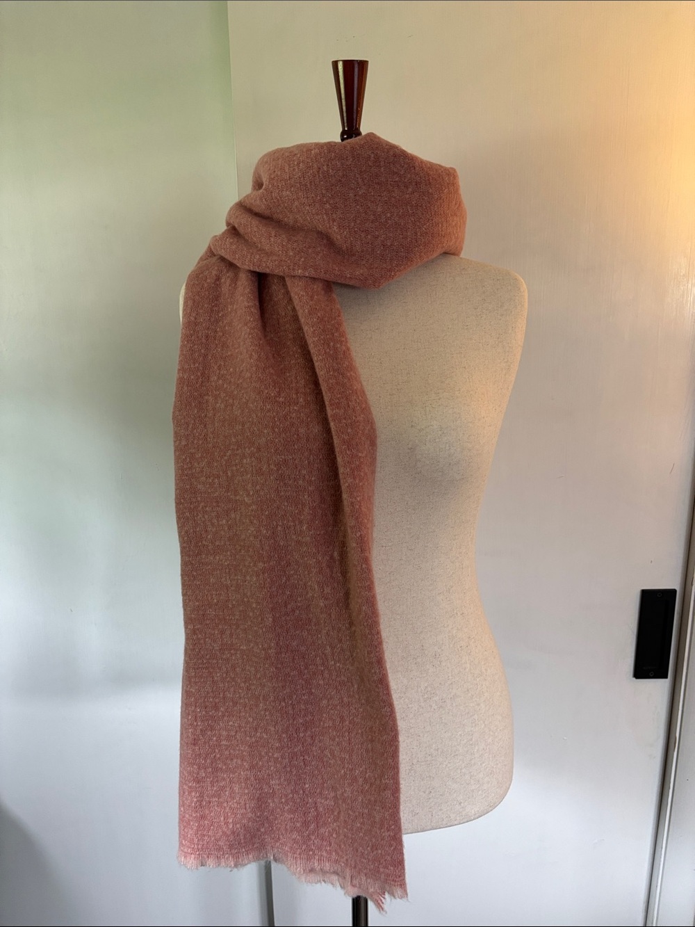 Banana Republic Scarf in Dusty Rose